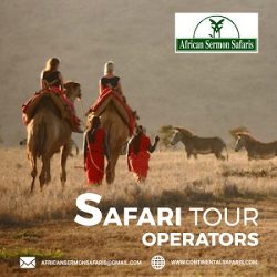 african safari212323