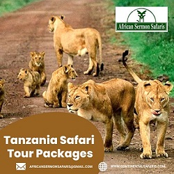 continentalsafaris_03-900x444244333