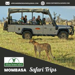 continentalsafaris_26