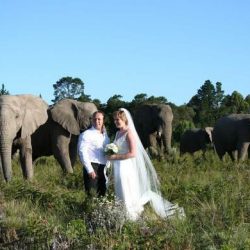 Wedding Holidays in Africa