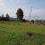 Plots-for-sale-Shalom-Court-Ruiru_2019-07-01-16.33.07-1170x738