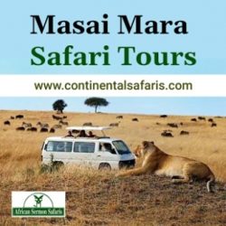 Masai Mara Safari Tours