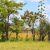 Ruiru-Karuguru-Prime-Residential-Plots-For-Sale-9