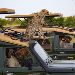 Nairobi Safari Tours