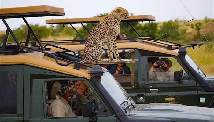 Nairobi Safari Tours