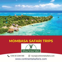 Mombasa-Safari-Trips-2