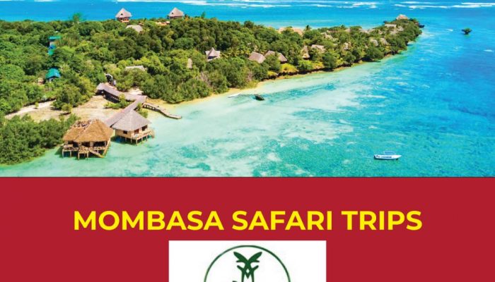 Mombasa-Safari-Trips-2