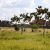 Ruiru-Karuguru-Prime-Residential-Plots-For-Sale-6-1