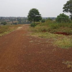 Gated Estate 14 Acre Plots For Sale Along Ruiru Githunguri Road (2)