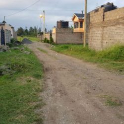 Divine-Estate-Plot-for-Sale-Ruiru-Mitikenda-01-16.42.40-1170x738