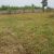 Gated Estate 14 Acre Plots For Sale Along Ruiru Githunguri Road (4)