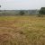 Gated Estate 14 Acre Plots For Sale Along Ruiru Githunguri Road (5)