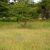 Ruiru-Karuguru-Prime-Residential-Plots-For-Sale-7-1