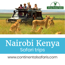 Nairobi-Kenya-Safari-trips