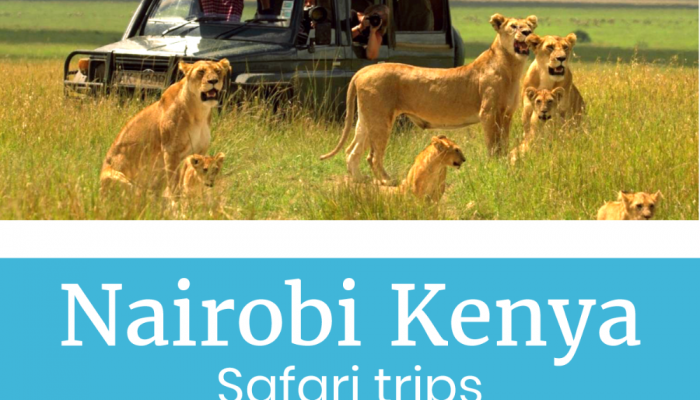 Nairobi-Kenya-Safari-trips