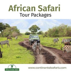 african-safari-tour-packages