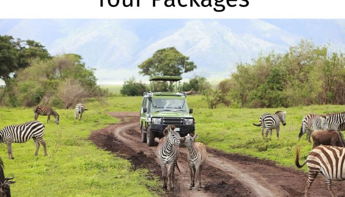 african-safari-tour-packages