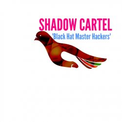 Shadow Logo Jpg