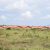 50 by 100 Plots For Sale Kabati