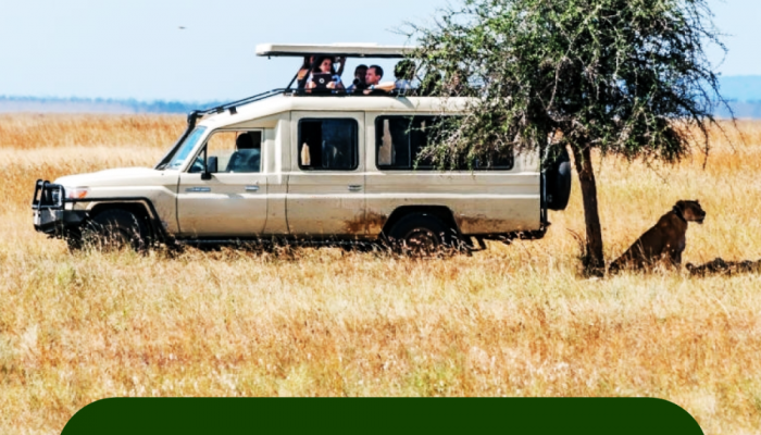 Uganda-Safari-Tours
