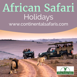 african-safari-holidays