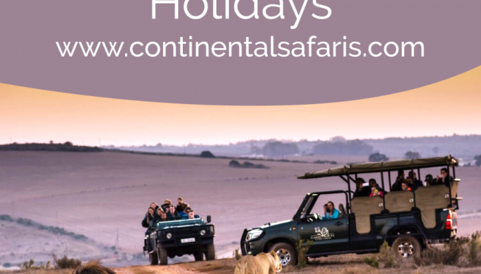 african-safari-holidays