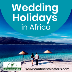 wedding-holidays-in-Africa