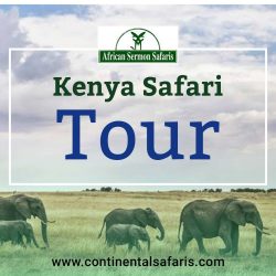 kenya-safari-tour-packages