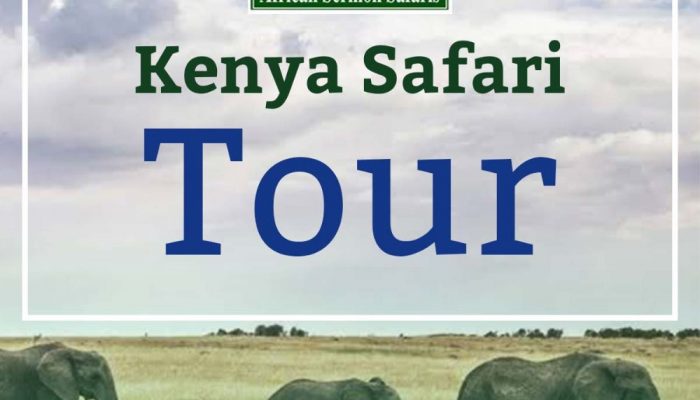 kenya-safari-tour-packages