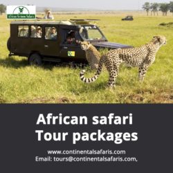 african-safari-tour-packages