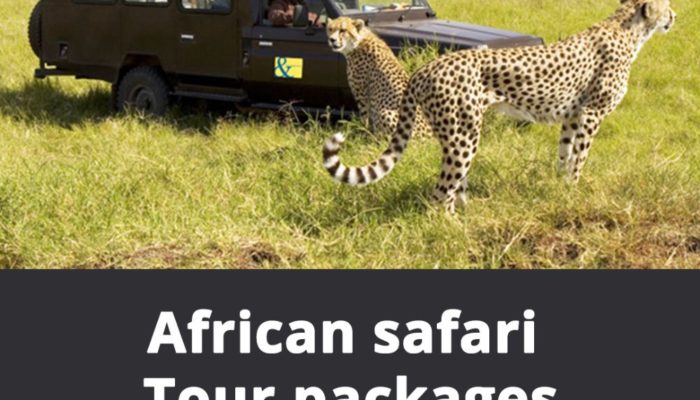 african-safari-tour-packages