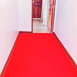 red carpet 2