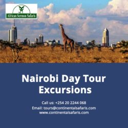 nairobi-day-tour-excursions