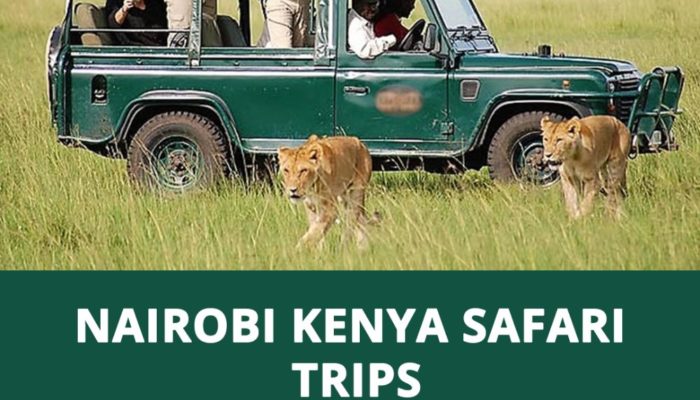 Nairobi-Kenya-Safari-trips
