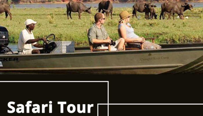 safari-tour-operators
