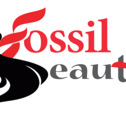 fossilbeauty