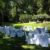 Specialized Catering & Florist Services - Image 3