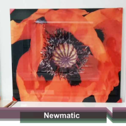 Newmatic Kitchen Appliances Poppy Digital Print Splashback