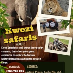 Make YourFamily vacation Memorable in Tanzania