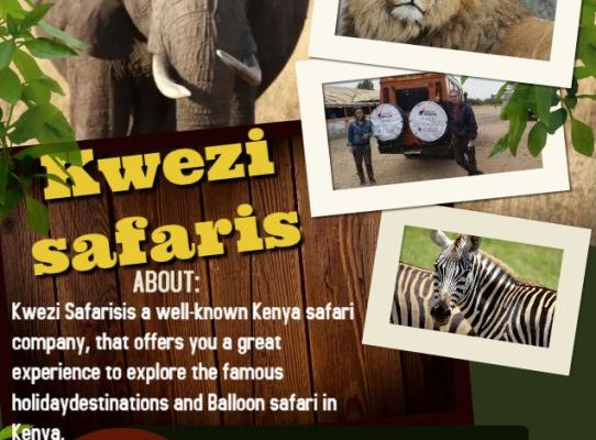 Make YourFamily vacation Memorable in Tanzania