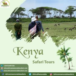 Kenya Safari Tours