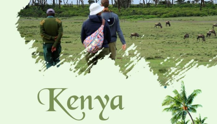 Kenya Safari Tours