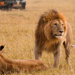 tsavo-east-road-safaris