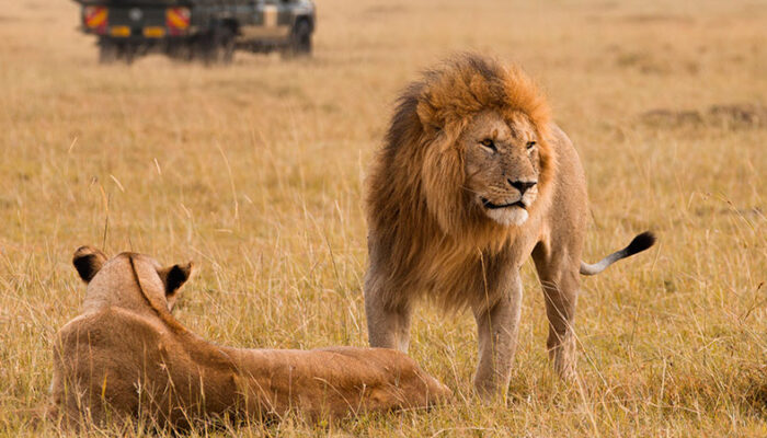 tsavo-east-road-safaris