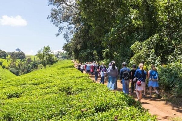 Farm Tours Kenya